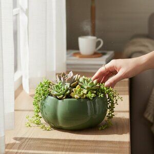 Tag Planter Vase Wavy Green Contempary Mid-Century Modern Decor